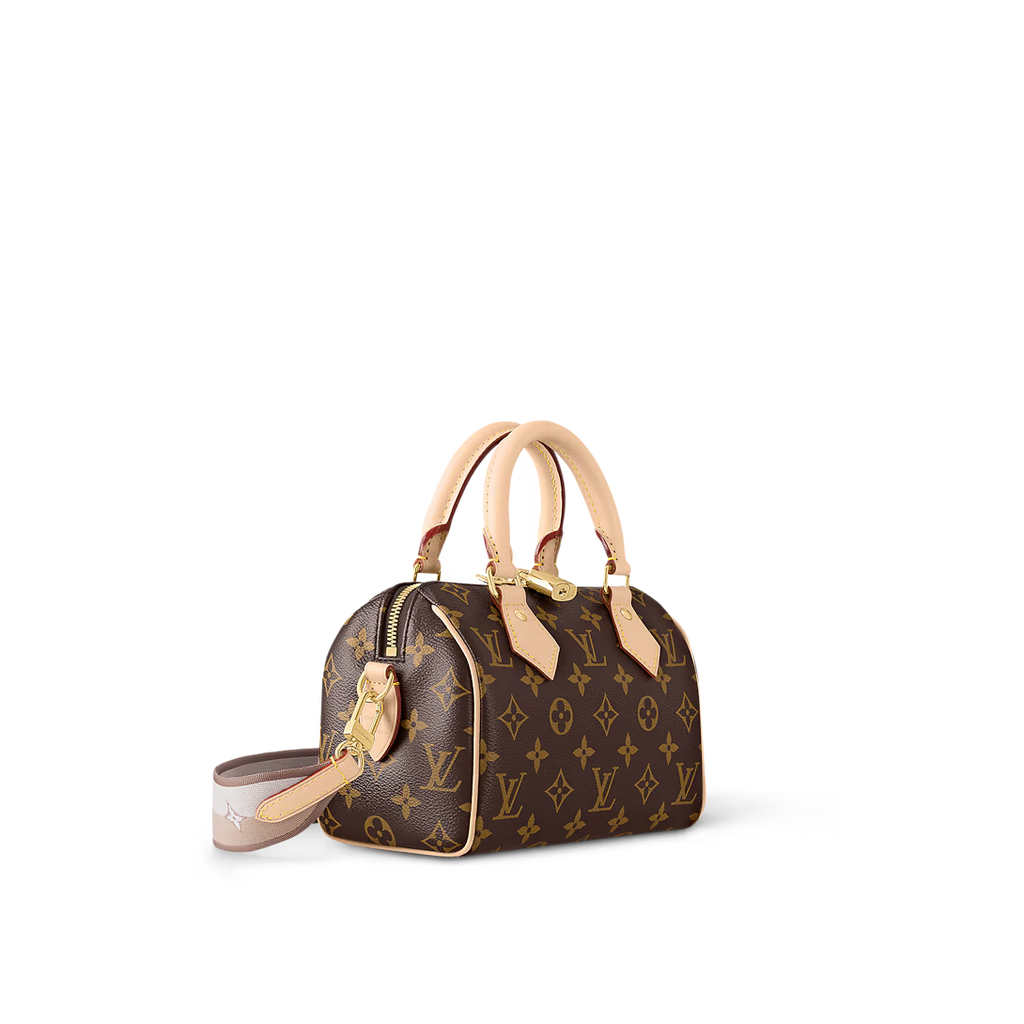 LV Speedy 20 Bag